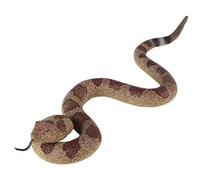 Scatola regalo scherzosa con sorpresa, orrore, giocattoli realistici a forma di serpente e insetto, regali creativi e fastidiosi per bomboniere, decorazioni per il giorno del pesce d'aprile, scat