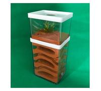 Scatole per allevamento formiche, Formicaio, formicaio in gesso, , habitat for formiche, , laboratorio animali domestici