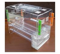 Scatole per allevamento formiche, Grande formicaio fai da te con 6 tubi, design a nido di formiche, castello area alimentazione, in acrilico(Onecolor)