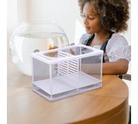 Scatole Per La Schiusa Dei Pesci Vasca L'allevamento Vivaio Di Pesce