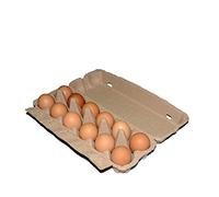 Scatole per uova per 12 uova, confezione da 5 scatole per polpa riciclate biodegradabili, grandi uova vuote, contiene 1 dozzina di contenitori per uova fresche per cucina, agricoltura, alimentari