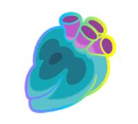 Scelta Tuo Hyper Bacche Pokémon Leggende Z-A Articolo Qualsiasi Bacca Pokemon Za