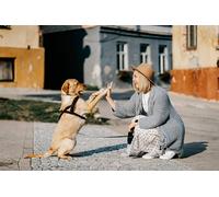 Scena calda e accogliente - Puzzle da 500 pezzi - Decorazione per la casa in legno - Un regalo per tutta la famiglia (14 anni+)