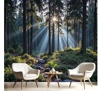 Scena Di Foresta Naturale Carta Da Parati - Luce Solare Alberi Alti Adesivo Tessuto Di Seta Murale,Per Camera Da Letto Soggiorno Sala Da Pranzo 400L × 280A cm,Verde