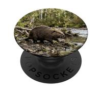 Scena sul bordo dell'acqua del bosco di Beaver Riverbank PopSockets PopGrip Adesivo