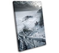 scenic snow B & W Landscapes SINGLE TELA parete arte foto stampa