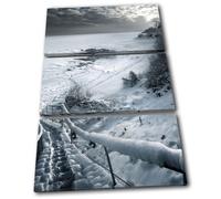scenic snow B & W Landscapes TREBLE TELA parete arte foto stampa