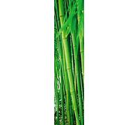 Scenolia - Poster verticale decorativo da parete Zen, 60 x 240 cm, qualità HD