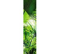 Scenolia Poster Verticale Decorativo Maroa 60 x 240 cm | Decorazione Parete qualità HD