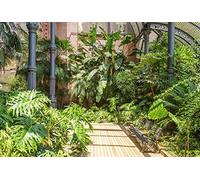 Scenolia Tappezzeria Poster panoramico Giardino Barcelona 4 x 2,70 m | Decorativo e Foto Parete XXL qualità HD