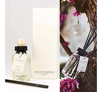 SCENT COMPANY MILANO Home Fragranze Diffusore D'ambiente in Vetro o Vaso cilindrico in Legno o Ricarica profumatore Ambiente (Nota II Ambra Regale, DIFFUSORE D'AMBIENTE 250ml)