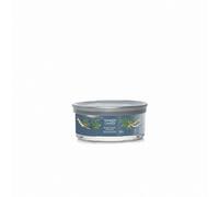 Scented Candle Yankee Candle Signature 340G Bayside Cedar (Scented Candle) Unisex