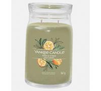 Scented Candle Yankee Candle Signature 567G Sage & Citrus (Scented Candle) Unisex