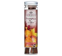 Scentsicles Decorazioni natalizie con profumo di zucca e sidro con ganci, 1 bottiglia (6 bastoncini in totale)