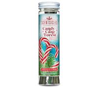 Scentsicles Decorazioni natalizie profumate in zucchero d'orzo con ganci - 1 flacone (6 bastoncini in totale)
