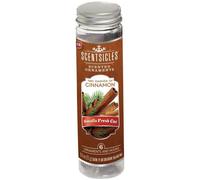 SCENTSICLES Profumato Albero di Natale Ornamenti, Due Trattini Cannella