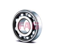 Schaeffler FAG 6004 Supporto/Cuscinetto