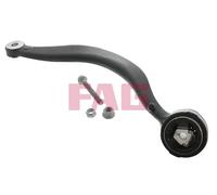 Schaeffler FAG 821 0176 10 Braccio oscillante, Sospensione ruota per BMW