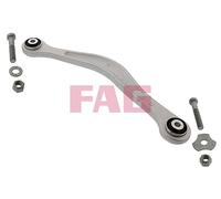 FAG 821 0221 10 Braccio oscillante, sospensione ruota