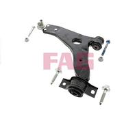 FAG 821 0249 10 Braccio oscillante, sospensione ruota