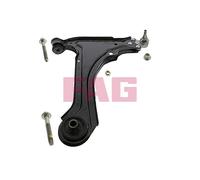 FAG 821 0276 10 Braccio oscillante, sospensione ruota