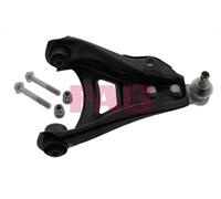 FAG 821 0313 10 Braccio oscillante, sospensione ruota