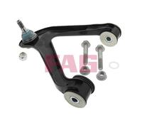Schaeffler FAG 821 0524 10 Braccio oscillante, Sospensione ruota per IVECO