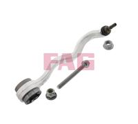 FAG 821 0641 10 Braccio oscillante, sospensione ruota