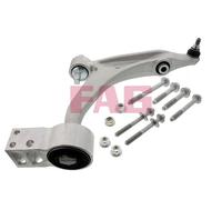 FAG 821 0681 10 Braccio oscillante, sospensione ruota