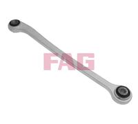 FAG 821 0919 10 Asta / Puntone, Sospensione ruote