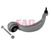 Schaeffler FAG 821 1257 10 Braccio oscillante, Sospensione ruota per AUDI,PORSCH
