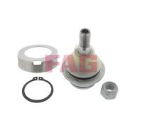 825 0104 10 FAG Giunto di supporto / guida per ,FORD