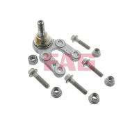 FAG 825 0109 10 Testina braccio oscillante