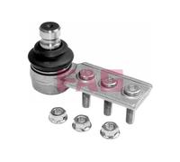 FAG 825 0214 10 Testina braccio oscillante