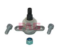 FAG 825 0429 10 Testina braccio oscillante