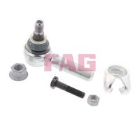 FAG 840 0818 10 Testina sterzo