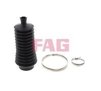 Schaeffler FAG 841 0048 30 Kit soffietto, Sterzo per RENAULT