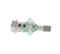 Schaeffler INA 427 0021 10 Valvola centrale, Regolazione albero a camme per BMW,