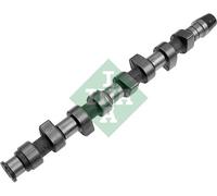 INA 428 0063 10 Albero a camme