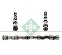 INA 428 0096 10 Albero a camme