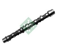 INA 428 0103 10 Albero a camme
