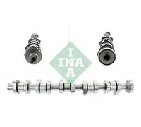 INA 428 0111 10 Albero a camme