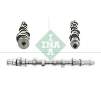 INA 428 0161 10 Albero a camme