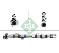 Schaeffler INA 428 0166 10 Albero a camme per ALFA ROMEO,DODGE,FIAT,LANCIA,TATA