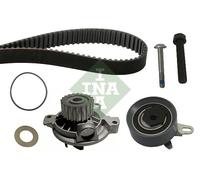 Schaeffler INA 530 0172 30 Pompa acqua + Kit cinghie dentate per VW