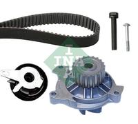 Schaeffler INA 530 0173 30 Pompa acqua + Kit cinghie dentate per AUDI,VW