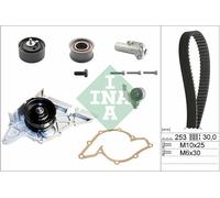 Schaeffler INA 530 0179 33 Pompa acqua + Kit cinghie dentate per AUDI,AUDI (FAW)