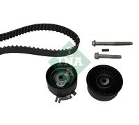 Ina 530019810 Kit Tendicinghia