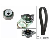 Schaeffler INA 530 0258 31 Pompa acqua + Kit cinghie dentate per CITROËN,FIAT,LA