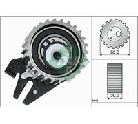 Ina 531 0844 10 Rullo Tenditore Cinghia Dentata